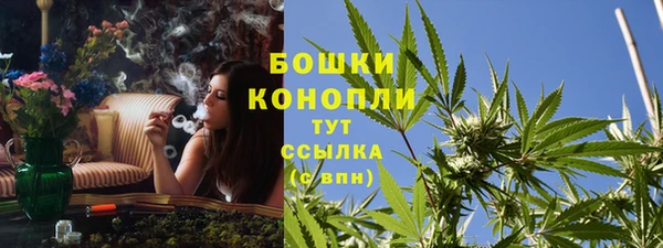 прущие крисы Протвино