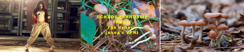 Галлюциногенные грибы Magic Shrooms  где найти наркотики  Ак-Довурак 