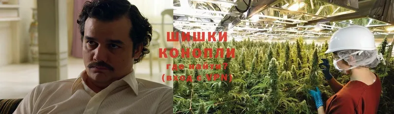 Шишки марихуана Ganja  Ак-Довурак 